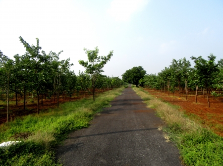 1) Plots for Investement Nearer to Tirupati.JPG